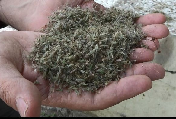  Bykekmece'de hava karard, her yeri kronomid' sard 