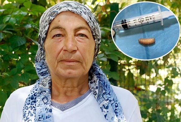 Sinslerinden 11 kurtuk kt