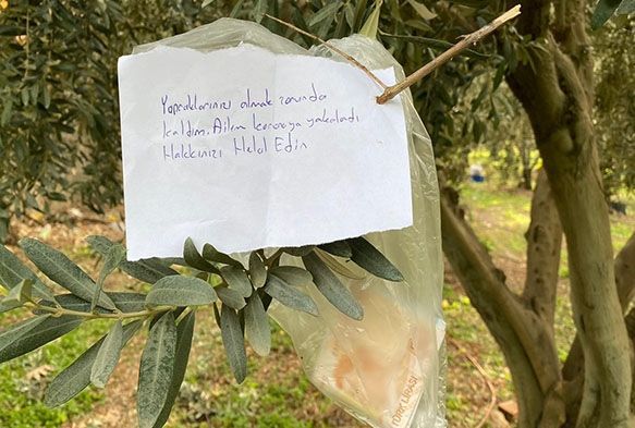 Zeytin aacndaki not ve para ok etti