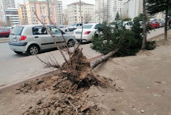 Rzgarn hz saatte 80 km hza ulat