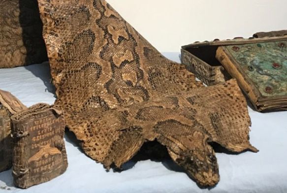 anlurfada, Orta a'dan kalma piton derisi ele geirildi
