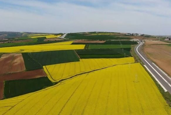 Trakya'da Sar bahar