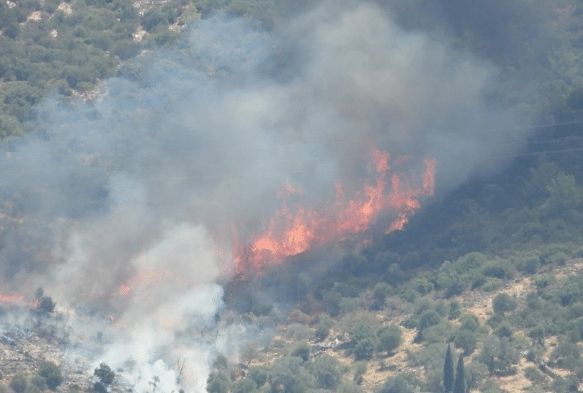 Bodrum’da yangınlar büyüyor, bazı ev ve oteller tahliye ediliyor