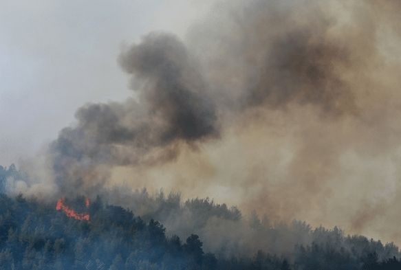 'Gndomu yanarsa Bat Toroslar yanar'