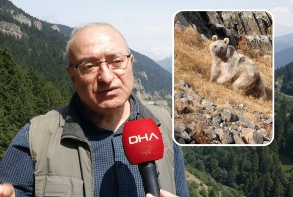 Profesrn, evine dadanan bozay ile ba dertte