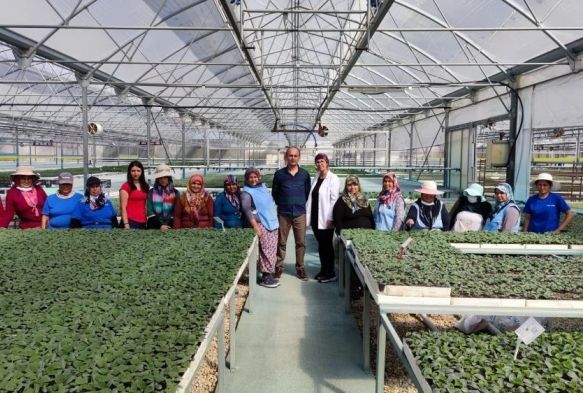 Fide retim tesisleri 5 bin kadna ekmek kaps oluyor