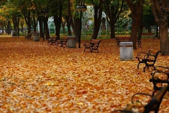 Dökülen Yapraklar Görsel Şölen Sundu