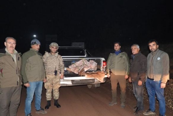 Yabani da keisini vuran ahsa 63 bin TL ceza