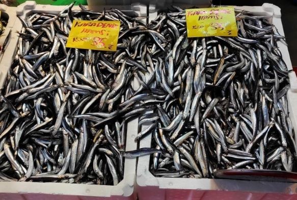 Havalar soudu, balk tezgahlar enlendi