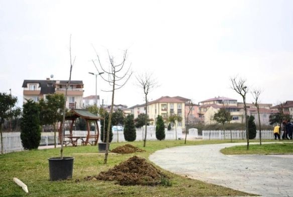 Herkes dalndan yesin diye yzlerce kiraz ve vine ekildi
