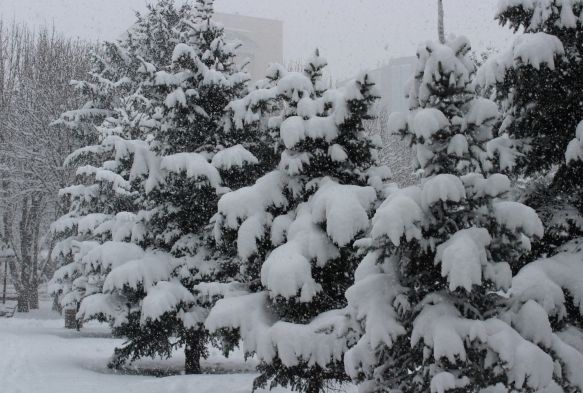 Kayseri’de soğuklar etkisini sürdürecek