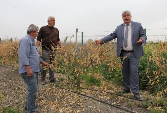 Zirai don Mersini vurdu, sebze-meyveye ulamak hayal oldu