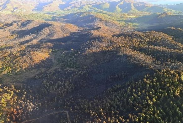 Marmaris yangn ksmen kontrol altnda