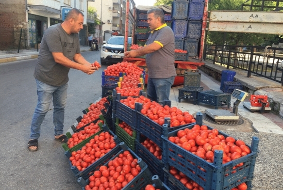 Salalk domates fiyatlar el yakyor