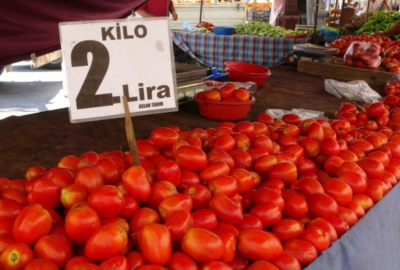 Adana'da domatesin kilosu 2 liraya dt