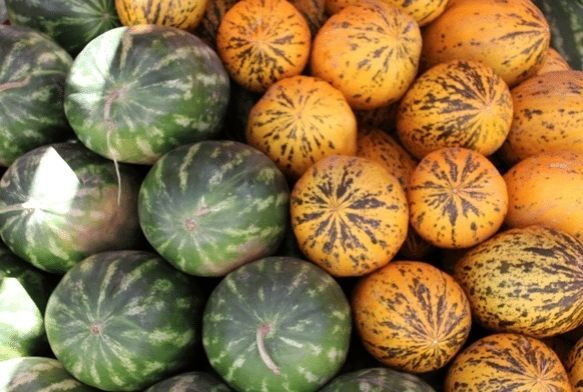 Karpuz- Kavun seçmenin püf noktası
