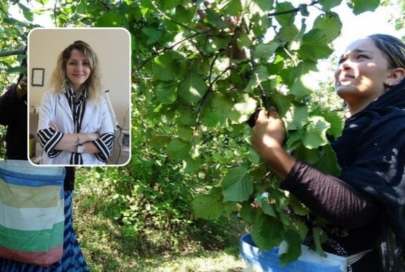 Fındık tozu alerjisine dikkat