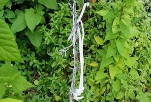 Domuzlar için tuzak kurdu, o tuzakta eşini kaybetti