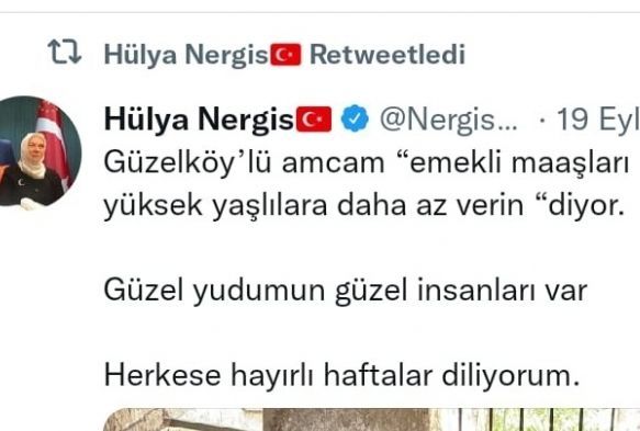 Nergis'ten tepki eken paylam