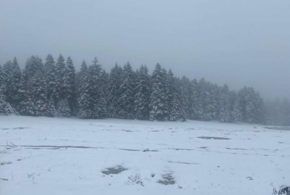 Yedigller beyaz rtyle kapland