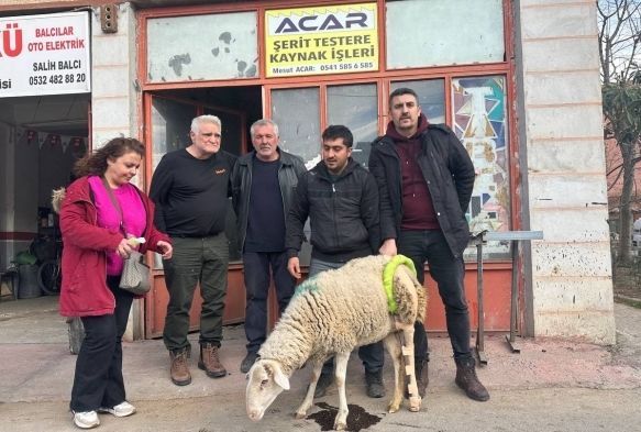 Baca krlan koyuna sanayide aparat yaptlar