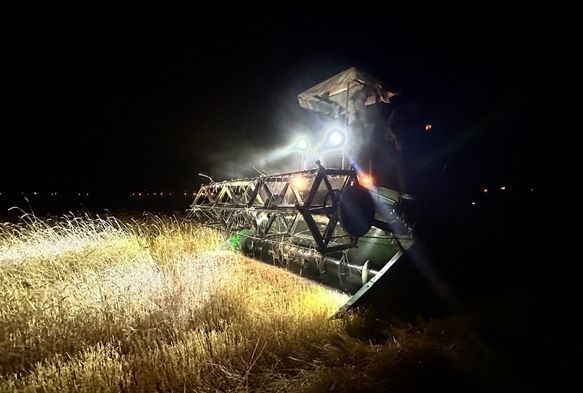 Aşırı sıcaklar çiftçilere gece mesai yaptırıyor