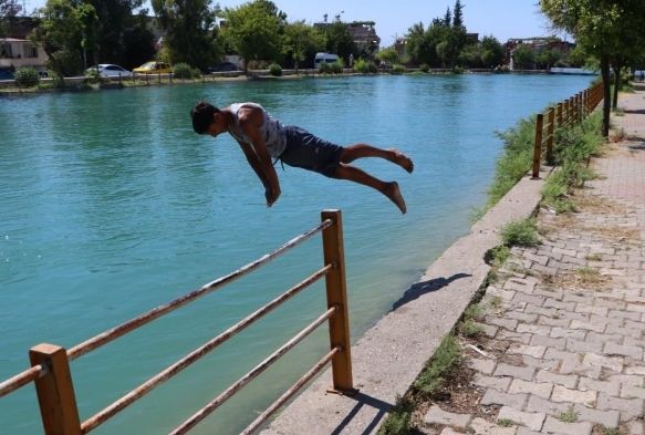 Uzman uyard: 