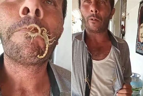 Akreplere kendini sokturdu, ‘Hayvan sevgisi’ dedi