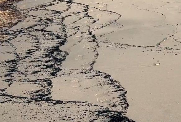 Orman yangını kalıntıları, sahili siyaha bürüdü