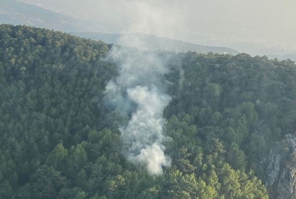 İzmir'de orman yangını!