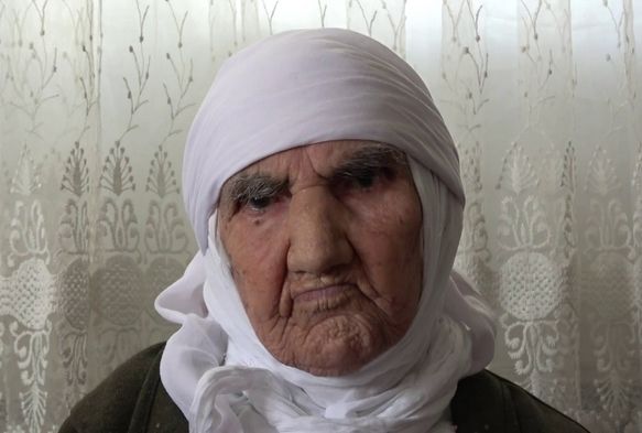 Asırlık Çınarın Gözünden 100. Yıl