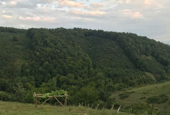 2024'n resmi tatilleri belli oldu!