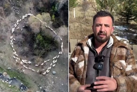 Çin’den sonra Türkiye’de de görüldü