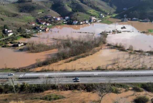 Sakarya Nehri taştı, tarım arazileri sular altında