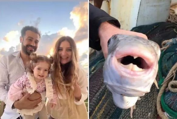 Balon balığının en zehirlisini yemişler