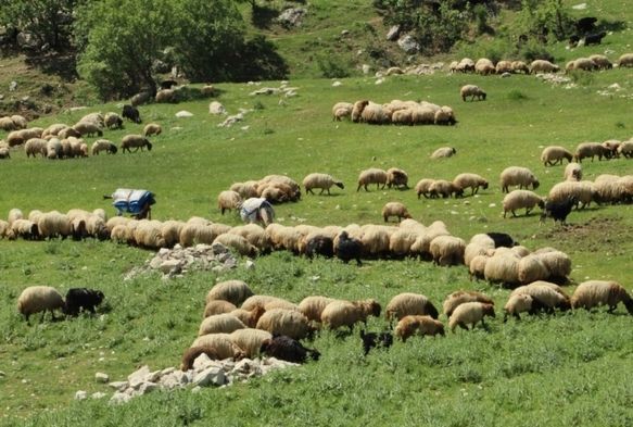 Zorlu Yolculuk Başladı!