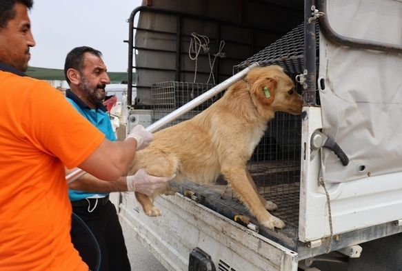 Veterinerden Aşı Uyarısı!