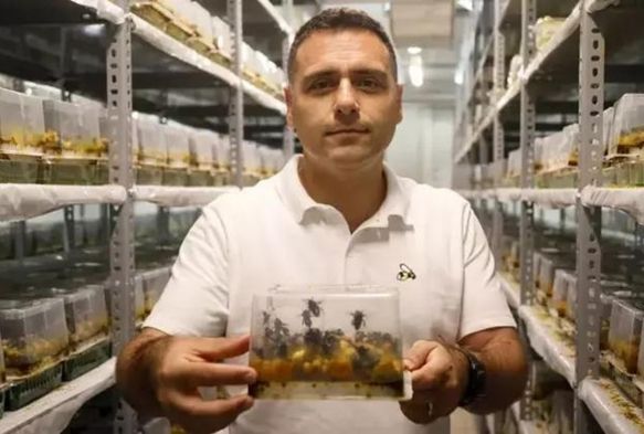 25 lkeye 'Bombus Arısı İhracatı!