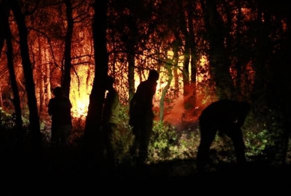 Bakanlık'tan Kuşadası aıklaması