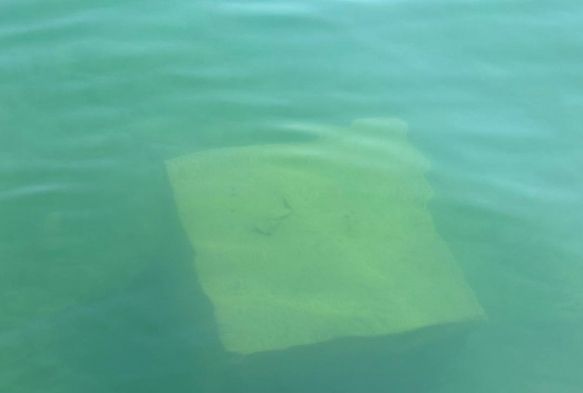 İznik Gölü'ndeki Cisim Merak Uyandırdı