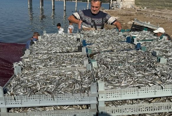 İznik Gölü'nde tarihi balık rekoru