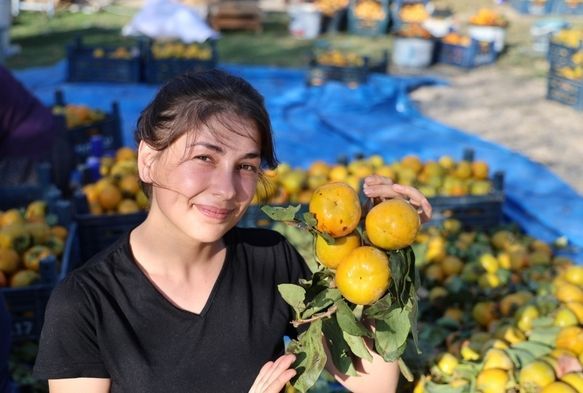 Yaş hurma 20, kurusu 200 lira