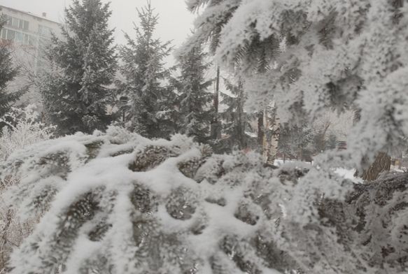 Sibirya soğukları Ardahan'ı dondurdu