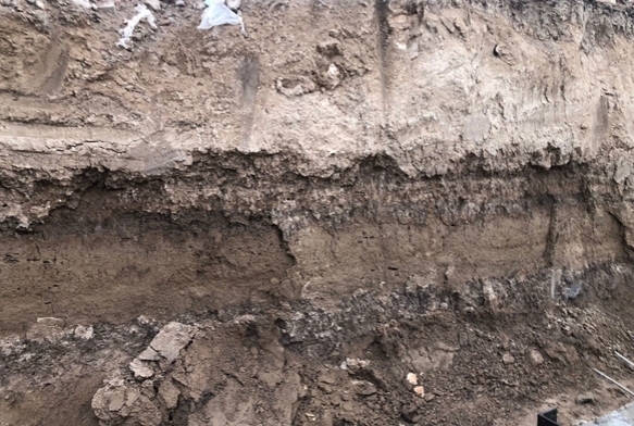 İnşaat alanında insan kemik kalıntıları bulundu