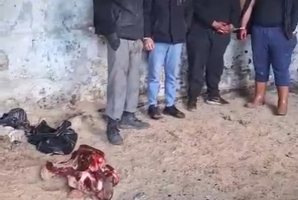 At eti keserken suçüstü yakalandılar