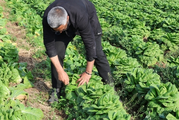 Tarlada 5 TL, manavda 5 katı