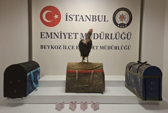 21 kiiye 194 bin lira ceza!