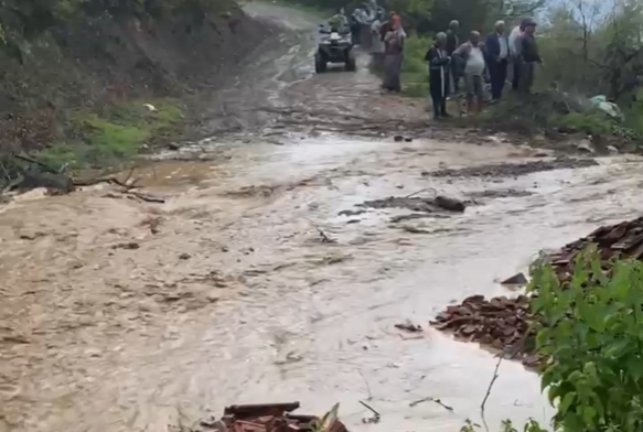 25 küçükbaş hayvan telef oldu