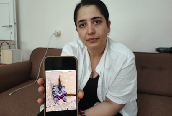 Kayıp kedi bulunmazsa kocası boşayacak