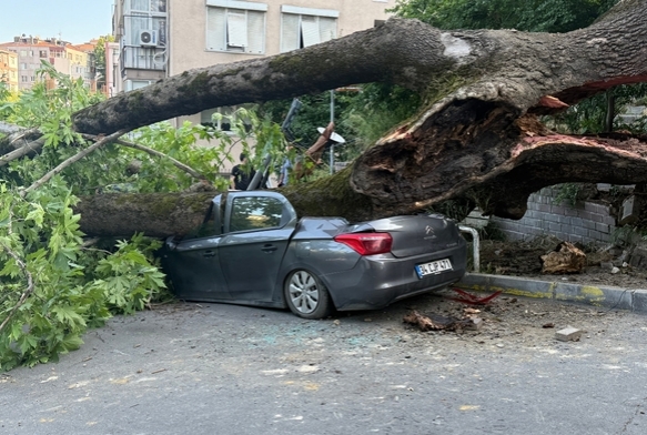 Devrilen aa 3 araca hasar verdi